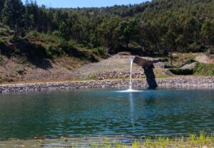 Portugal Day commemorations kick off in Pedrógão Grande