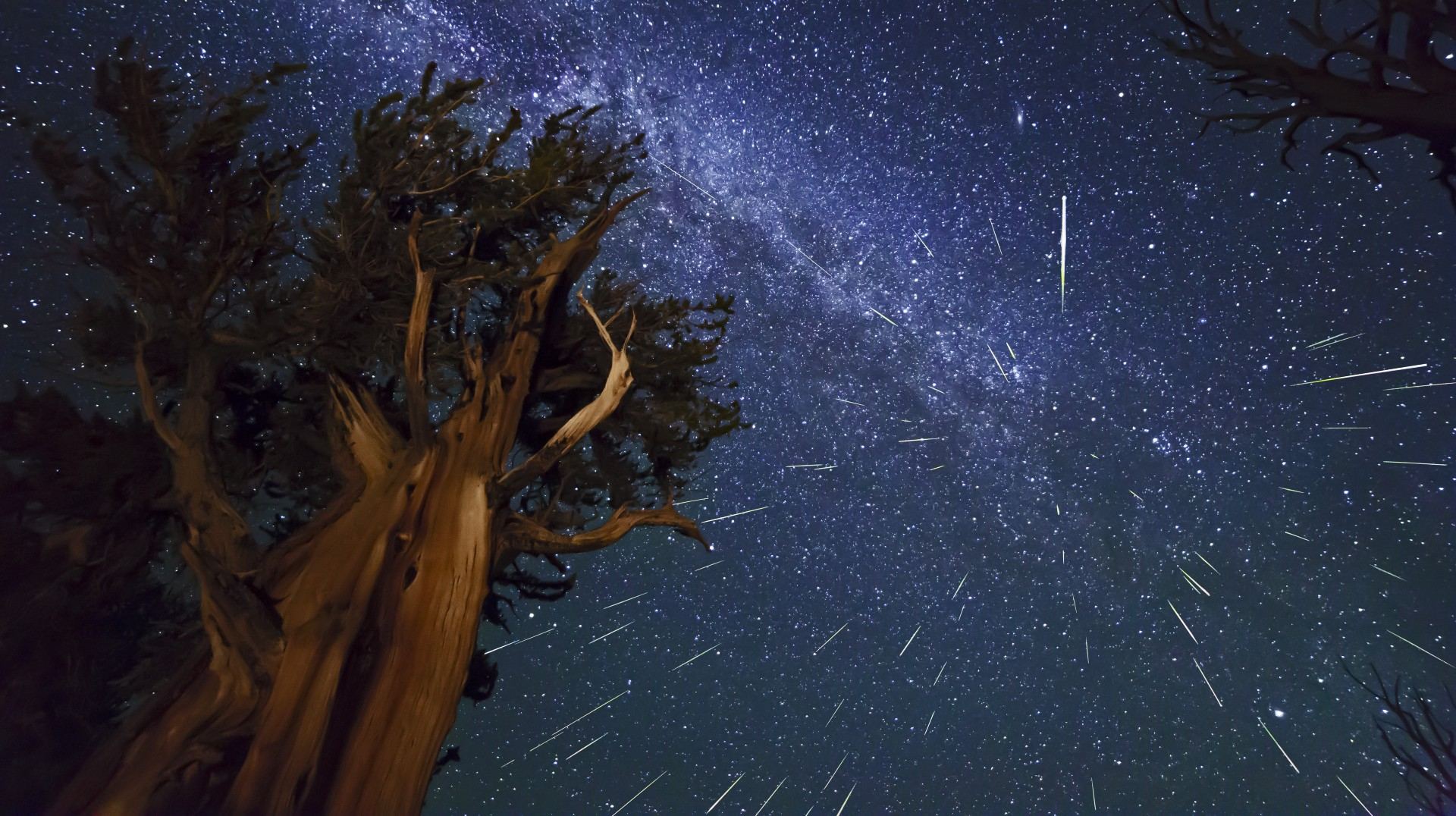 meteor shower.jpeg