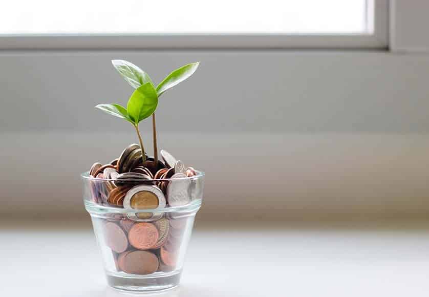 plant on a glass with coins
