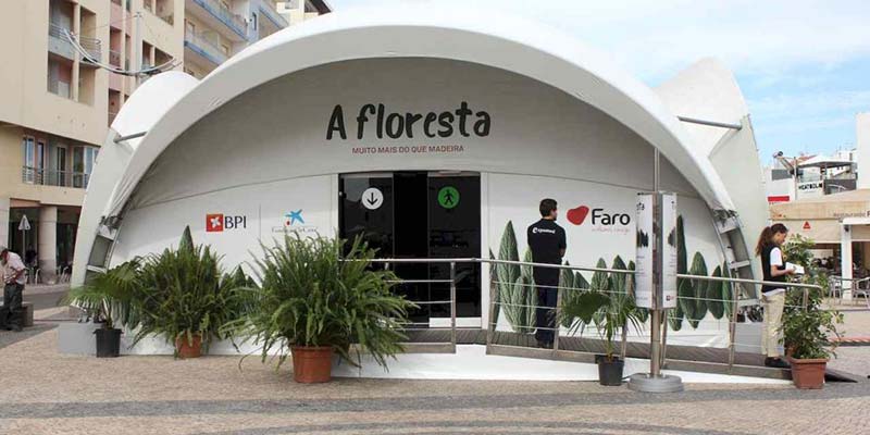 “More than just wood”: Exhibition to showcase “importance of trees” to planet Earth