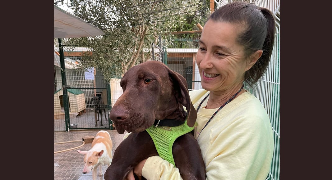 Albufeira dog shelter forced to relocate for third time|Albufeira dog shelter forced to relocate for third time|Albufeira dog shelter forced to relocate for third time|Albufeira dog shelter forced to relocate for third time|Albufeira dog shelter forced to relocate for third time|Albufeira dog shelter forced to relocate for third time|Albufeira dog shelter forced to relocate for third time