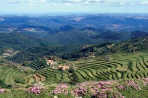 Almargem hosts meeting to unveil plans to ‘Revitalise Monchique’