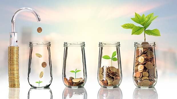 money-growth-investment-seed.jpg