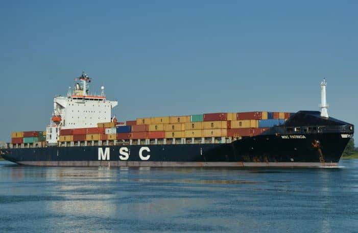 msc-patricia.jpg