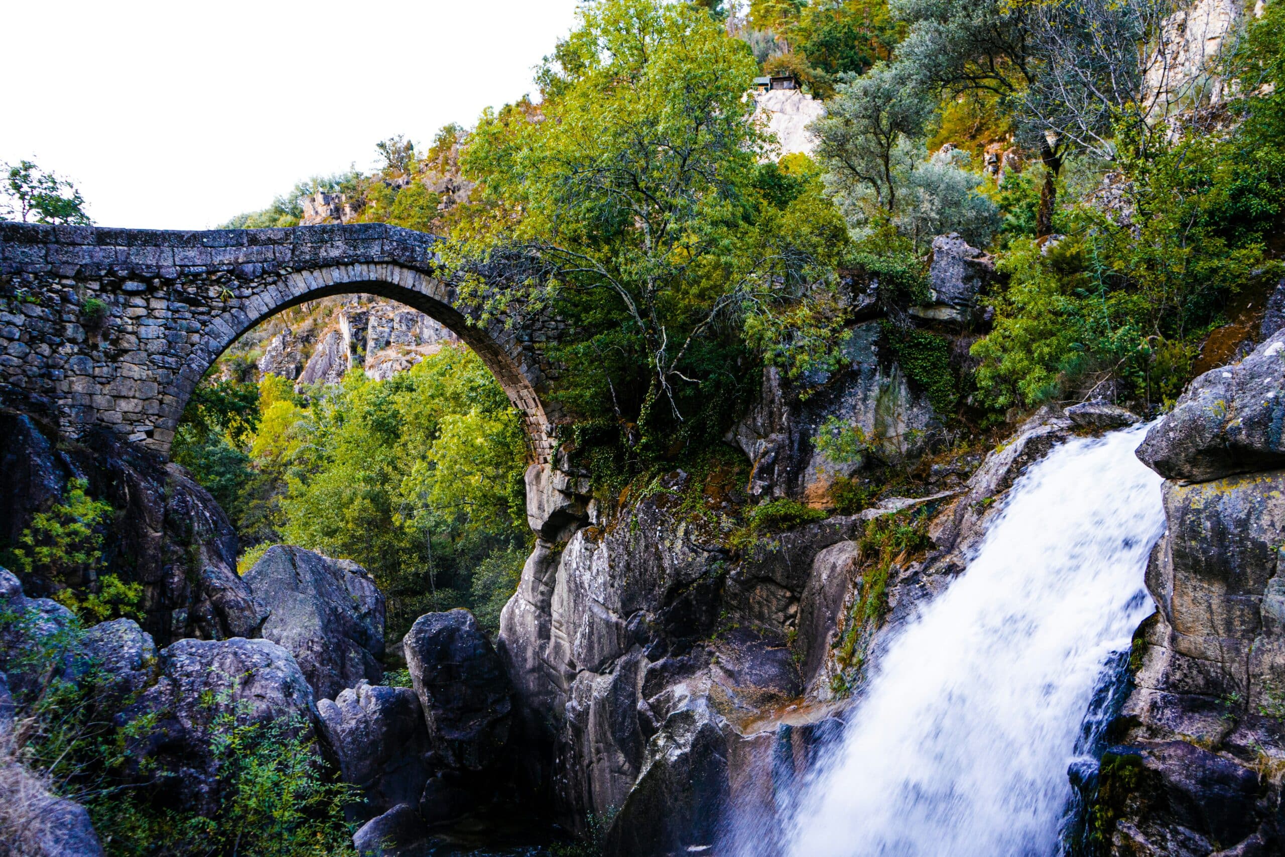 Peneda Gerês National Park (Photo: Natanael Vieira/Unsplash)