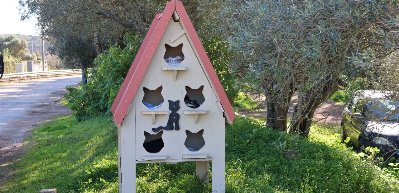Silves sets up cat shelters in several parishes