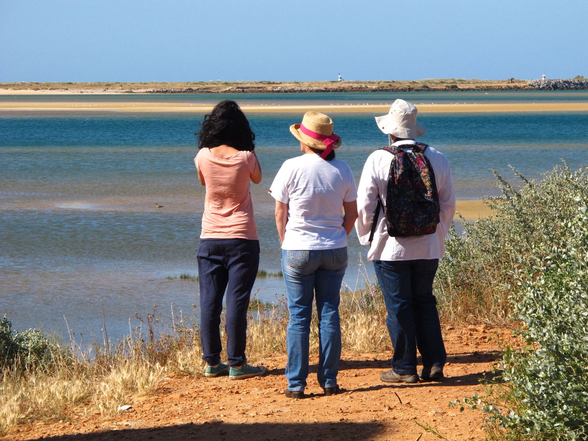 observacao_de_aves_na_ria_de_alvor.jpg
