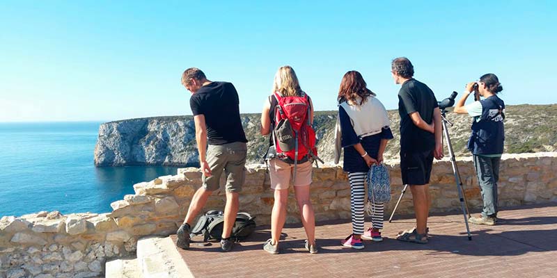Sagres Birdwatching Festival returns between October 10 and 13