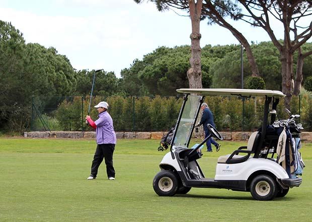old-village-golf.jpg