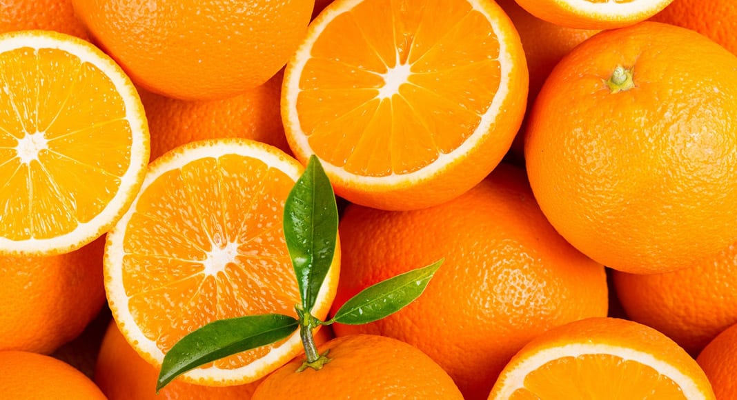 oranges|Fim de Semana Sabor Laranja 2025 Silves