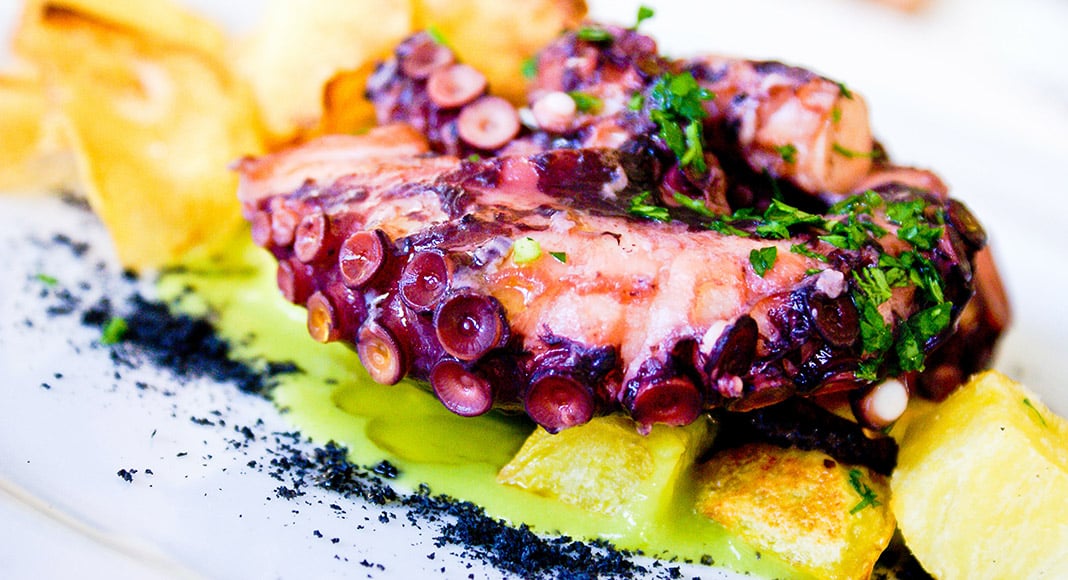 Seafood takes centre stage in Tavira