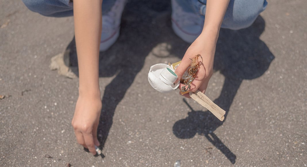 Zoomarine seeks volunteers for beach clean-up initiative