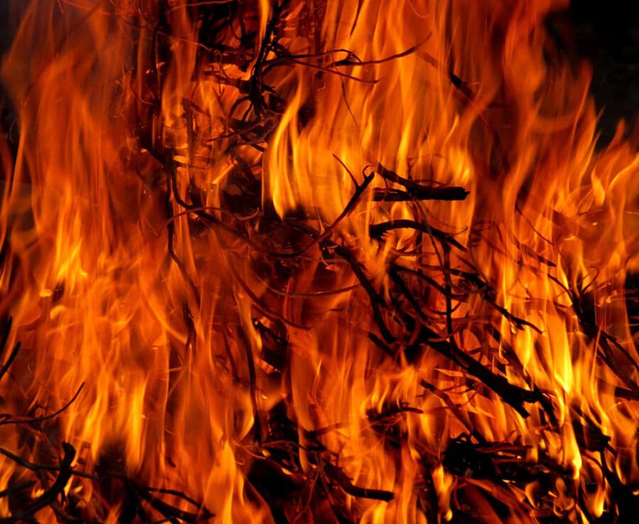 Landowner app to be “fundamental tool” to prevent wildfires - Portugal Fires