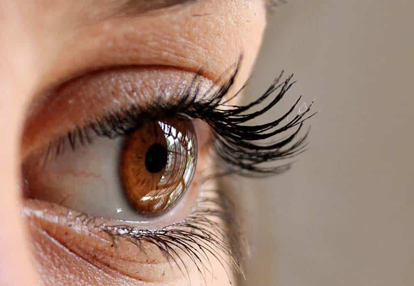 Diabetic retinopathy – the first cause of blindness in the Western World?