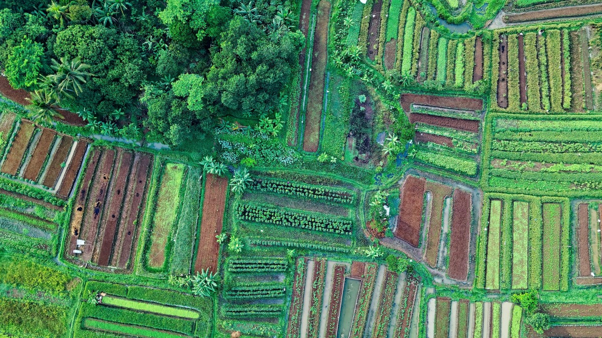 Municipal Assemblies call for “more means” to implement new land law