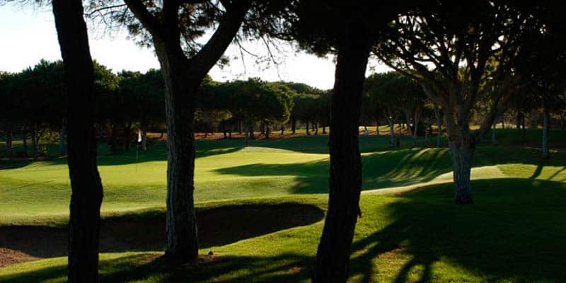 Cliffside festival brings world-class jazz musicians to Pine Cliffs