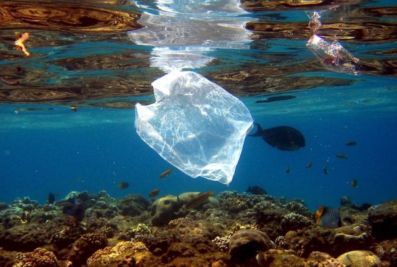 plastico-mar.jpg