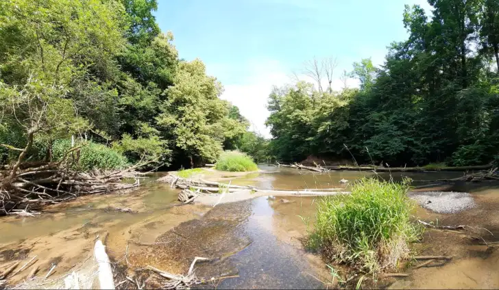 Image from the Freshwater blog which carried this information in August: https://freshwaterblog.net/2023/08/11/biodiversity-recovery-in-european-rivers-has-stagnated-since-2010/
