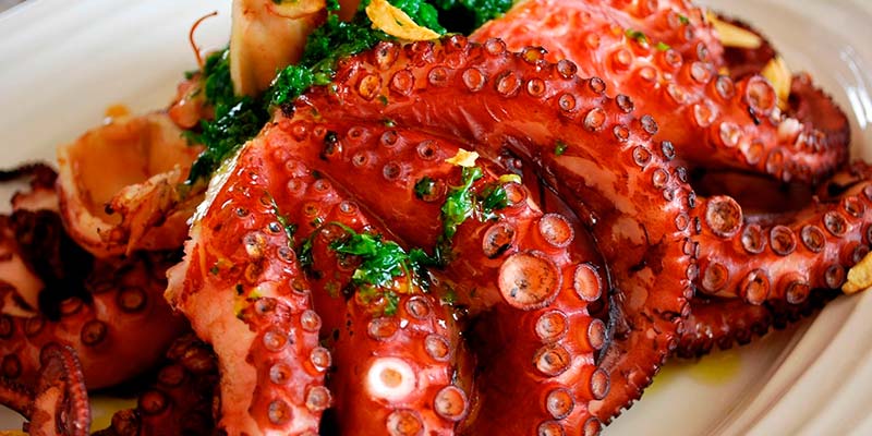 Quarteira pays tribute to fishing traditions with ‘Octopus Week’