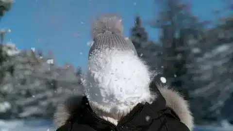 snowman