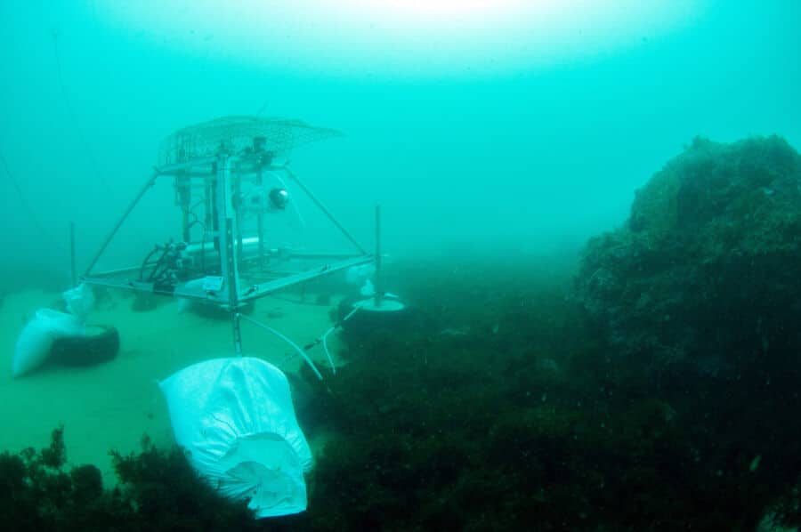 Underwater observatory unveiled in Sagres|Underwater observatory unveiled in Sagres|Underwater observatory unveiled in Sagres