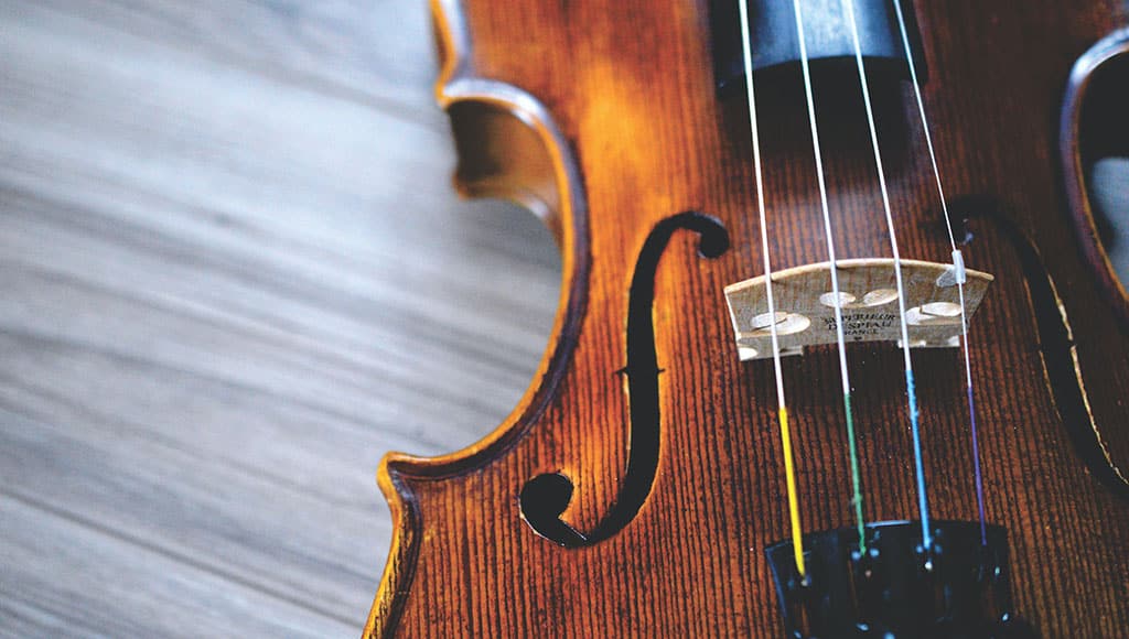 violin