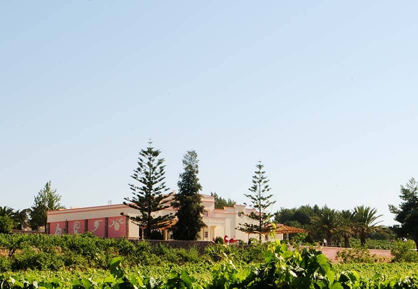 quinta-dos-vales-algarve-wine-estate|bottle-blending-workshop-quinta-dos-vales-algarve|quinta-dos-vales-winemaking-algarve-wine-cellar|quinta-dos-vales-winemaking-algarve-winemaker-experience