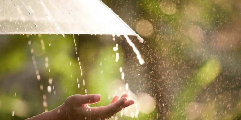Rain