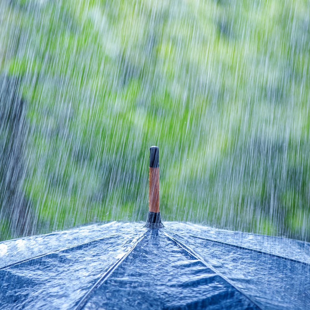 rainfall-1.jpg