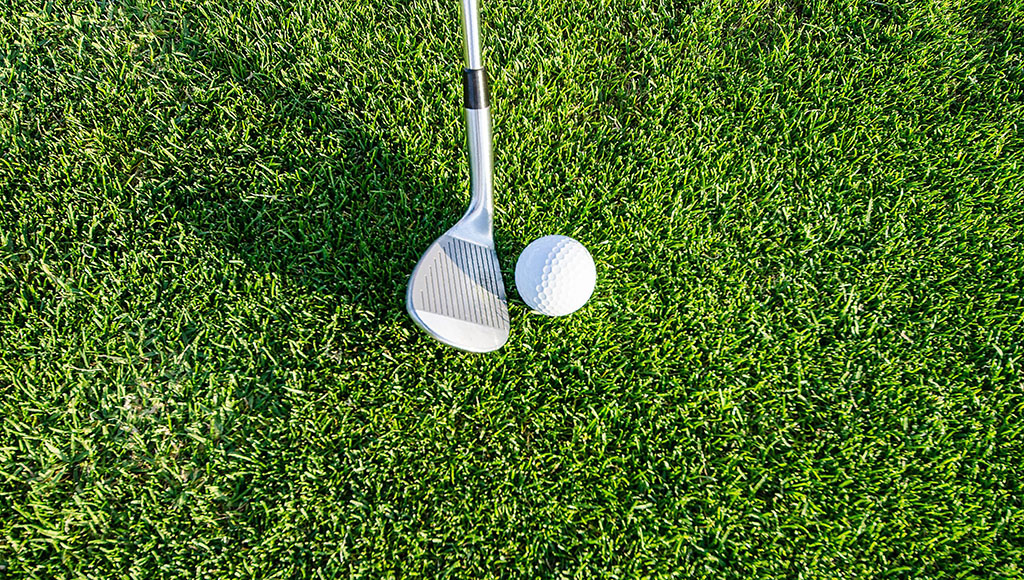 golf ball and golf club on green