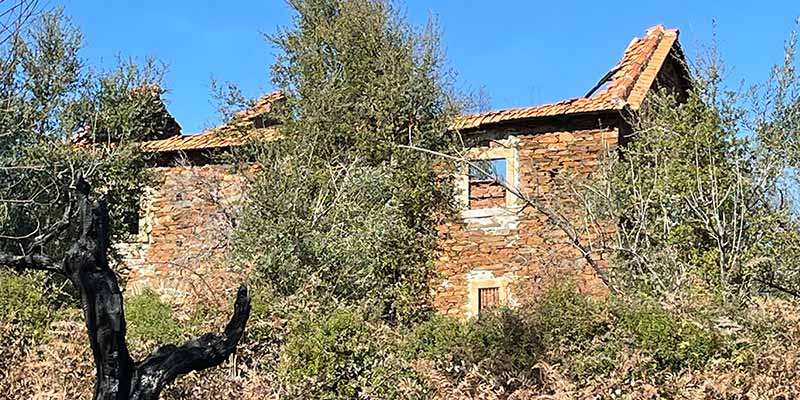 Photo of a ruin in a rural area of Portugal