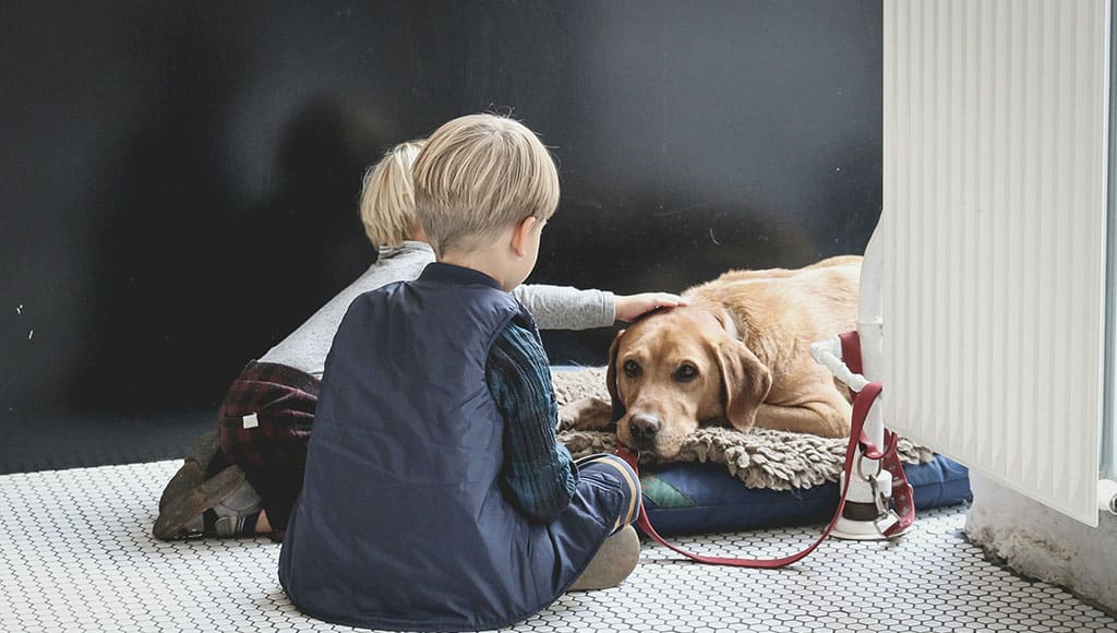 Pet for life|Silves charity shop