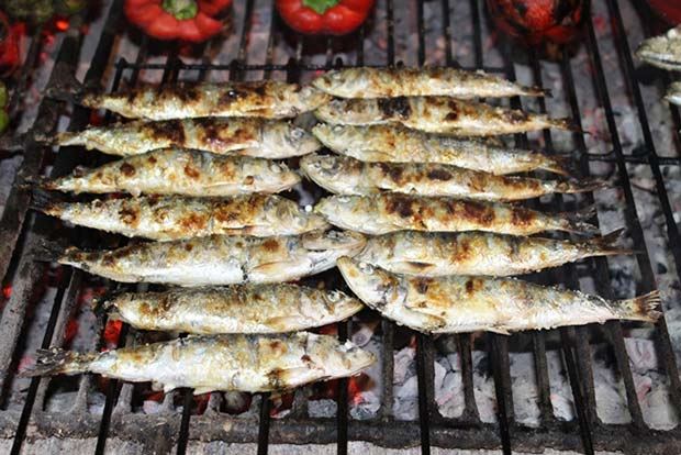 sardines_cmp_irina_ramos.jpg