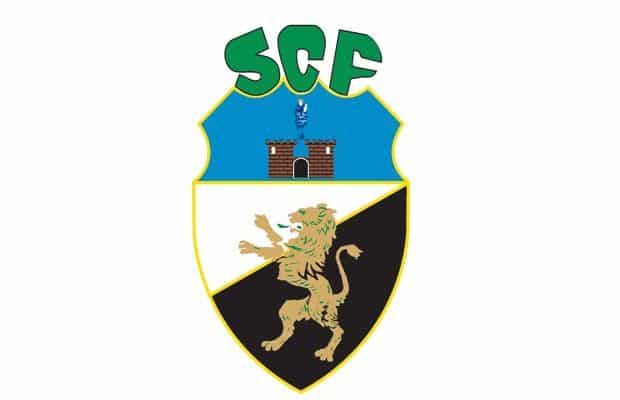 scf.jpg
