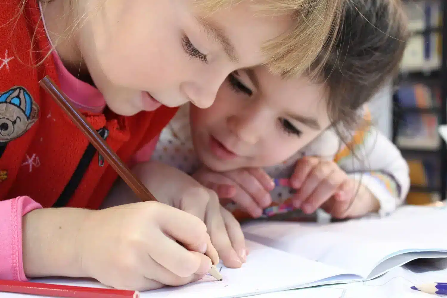 schools-in-portugal-private-and-public-education