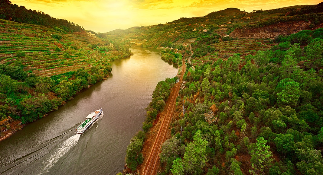 Vineyards in the Valley of the River Douro, Portugal