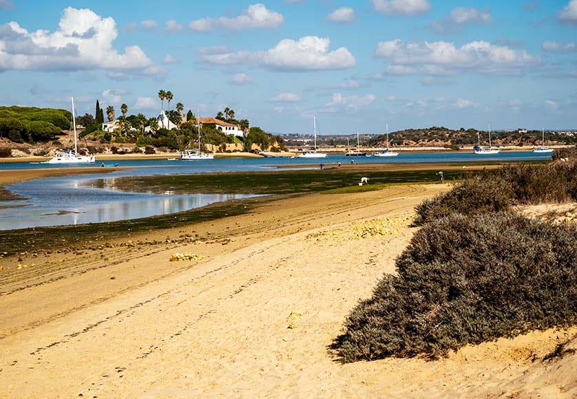 Alvor estuary showing Quinta da Rocha|Alvor estuary tourism project opens for public consultation|Alvor estuary tourism project opens for public consultation|Ria de Alvor