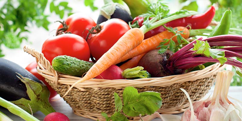 How to fix a “broken diet”