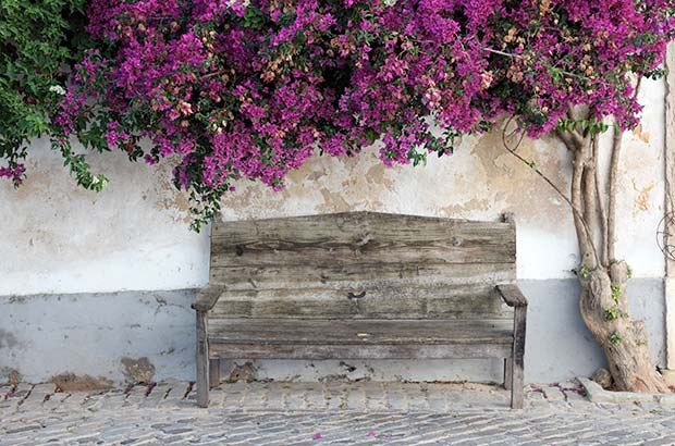 shutterstock_56746987_wooden-bench-faro.jpg