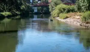 Body of young man discovered in Odemira river