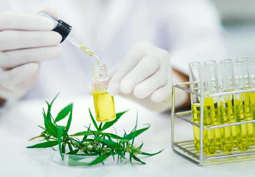 Cannabidiol (CBD), a new weapon to fight Alzheimer's disease|Cannabidiol (CBD), a new weapon to fight Alzheimer's disease