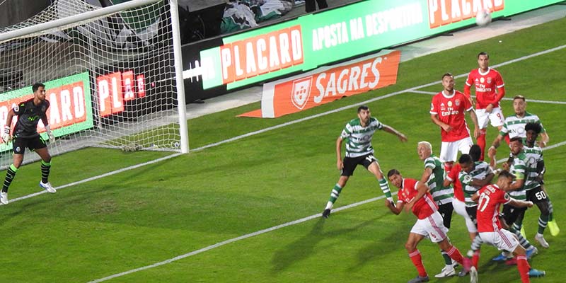 Lions no match for the Eagles