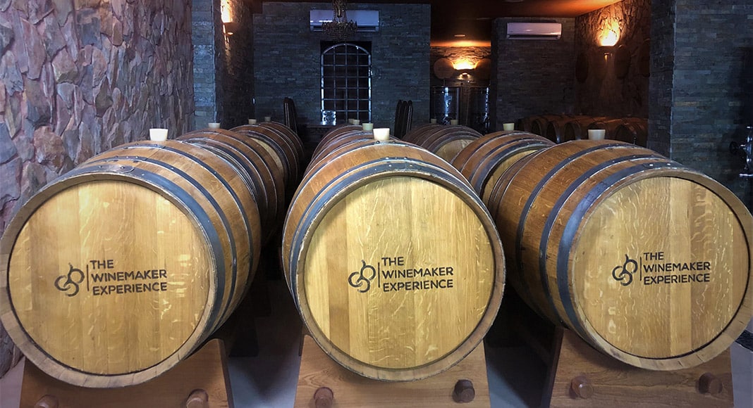 the-winemaker-experience-barrel-room-quinta-vales|maceration-the-winemaker-experience-quinta-vales|red-grapes-quinta-vales|red-wine-vats-quinta-vales
