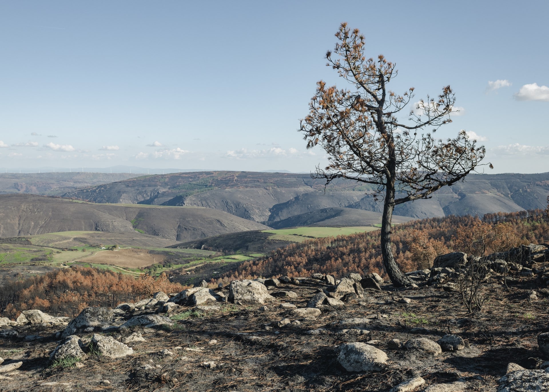 thumbnail_2022-10-Post-fire-Landscape-3-Credit_Robert-Funke-Veredas-da-Estrela.jpg