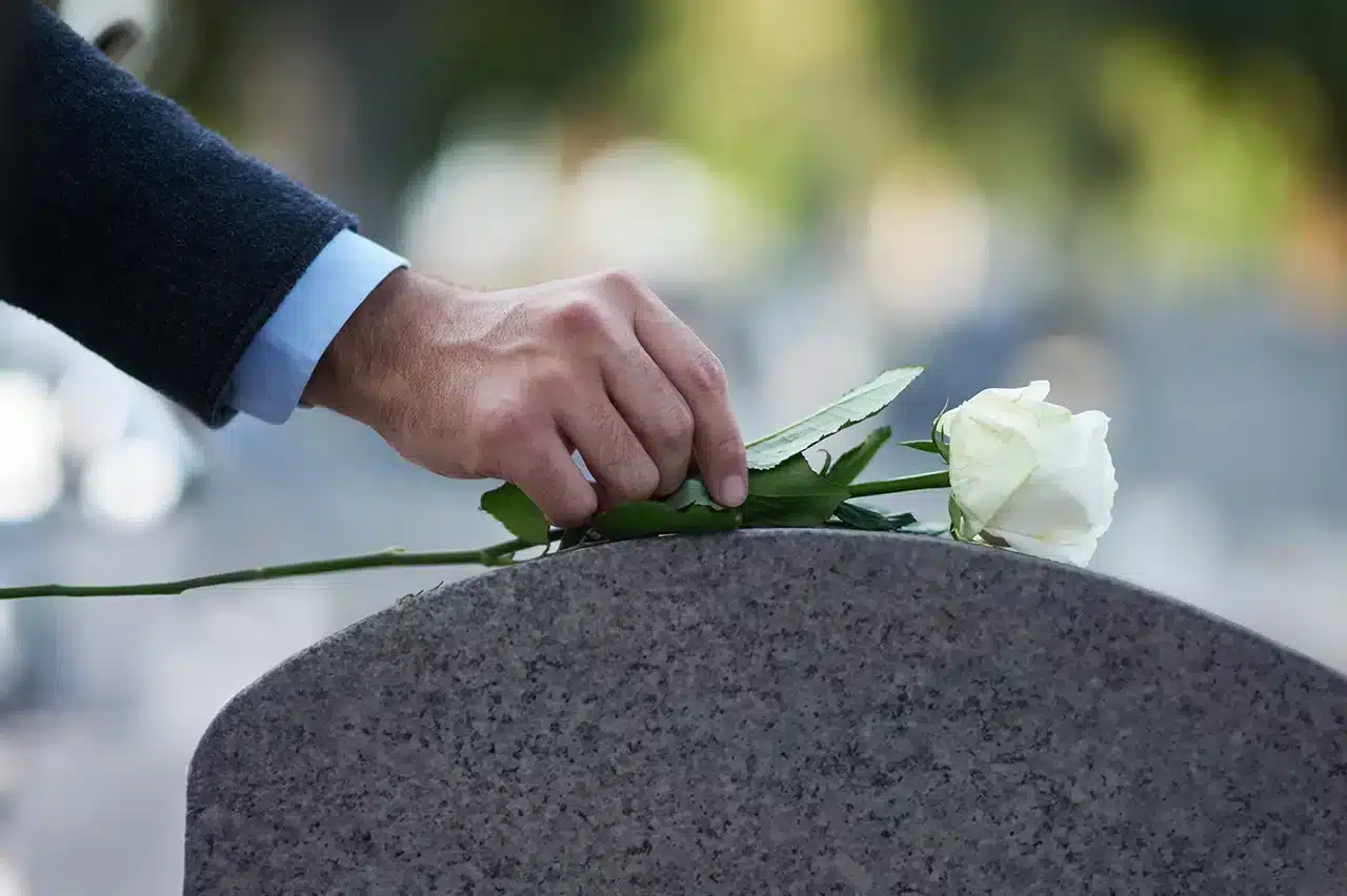 white rose on tomb stone