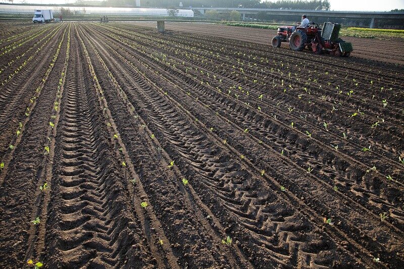 Farming Agriculture