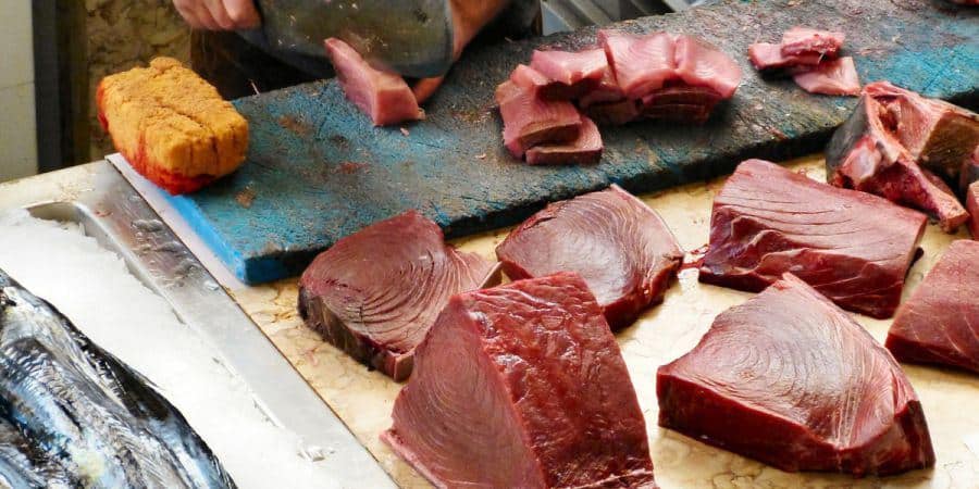 tuna.jpg