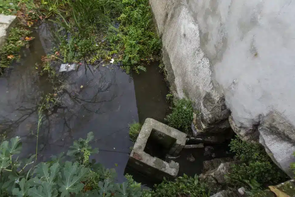 Various pharmaceutical drugs found in Portugal’s urban waterways
