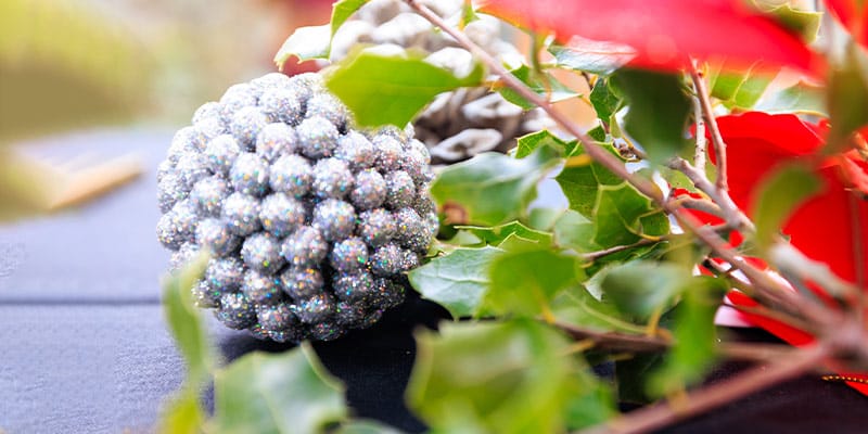 Photo of mistletoe and a festive decoration for the Vale do Lobo Christmas Market 2022|Save the date – Vale do Lobo's Christmas Market is back|Photo of a previous edition of the Vale do Lobo Christmas Market|Photo of a Christmas choir on a previous edition of the Vale do Lobo Christmas Market|Photo of a previous edition of the Vale do Lobo Christmas Market|Save the date – Vale do Lobo's Christmas Market is back
