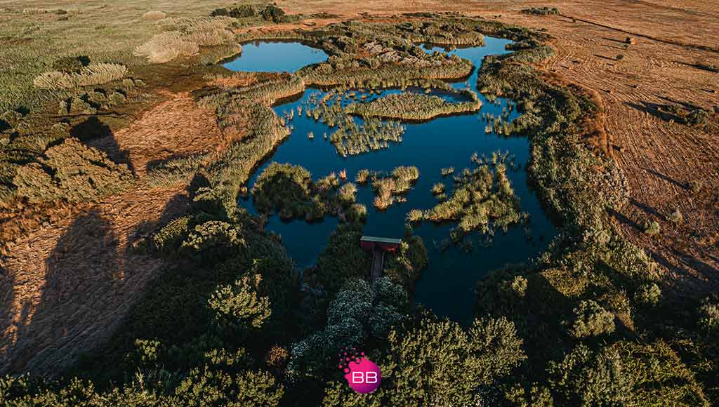 Aerial view of part of the Ria Formosa|vilamoura-world-2-aug-2024|vilamoura-world-2-aug-2024